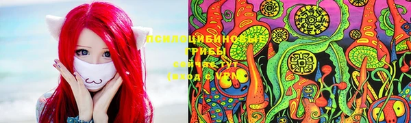 a pvp Абинск